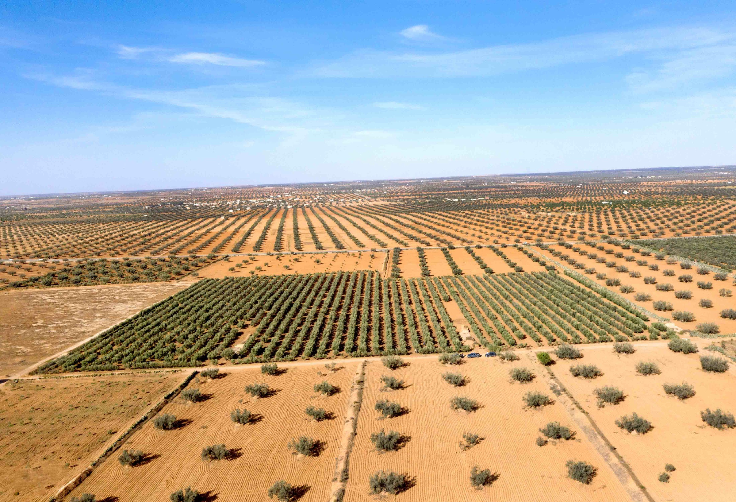 Vue aérienne des parcelles agricoles