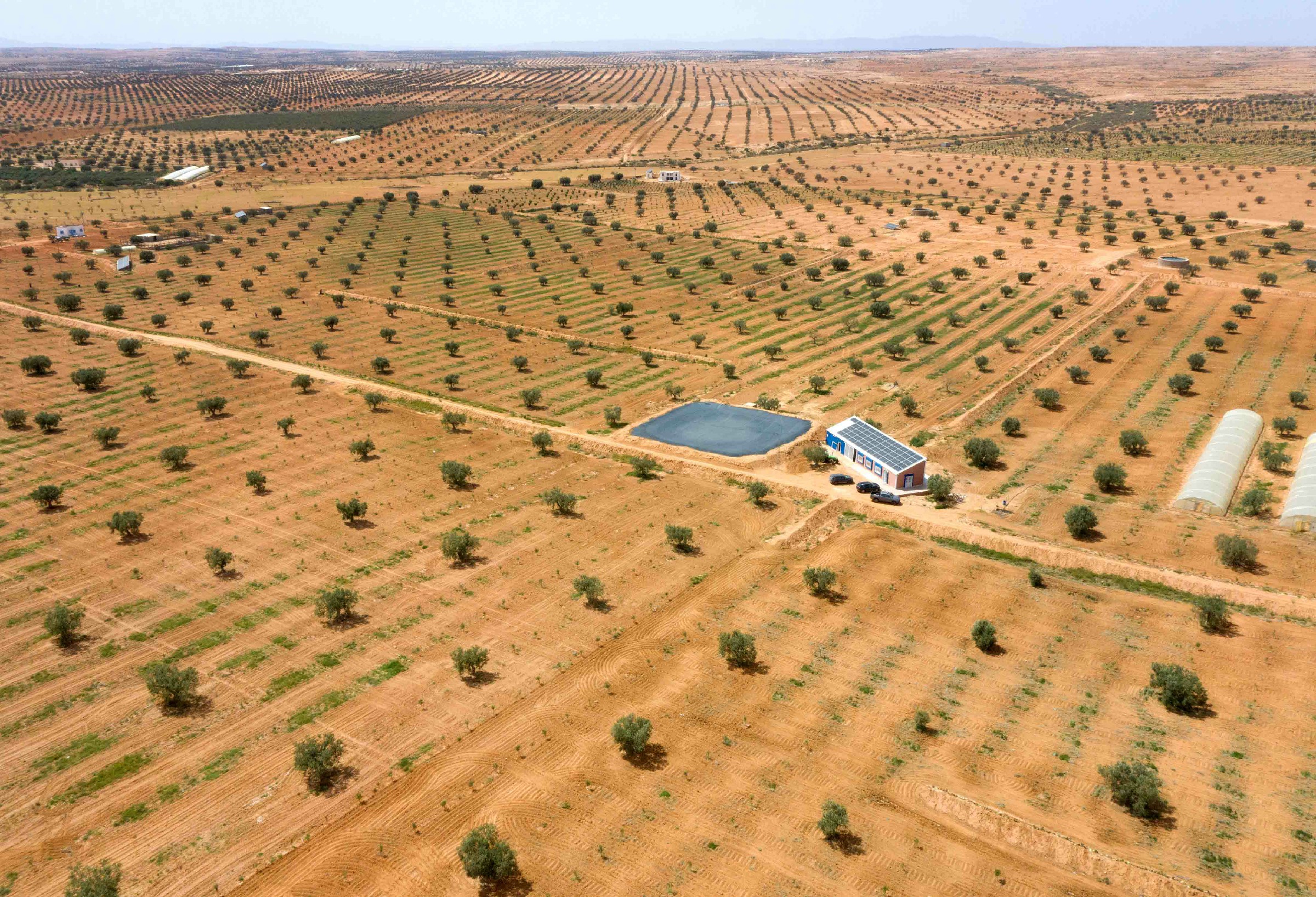 Réseaux d'irrigation haute précision