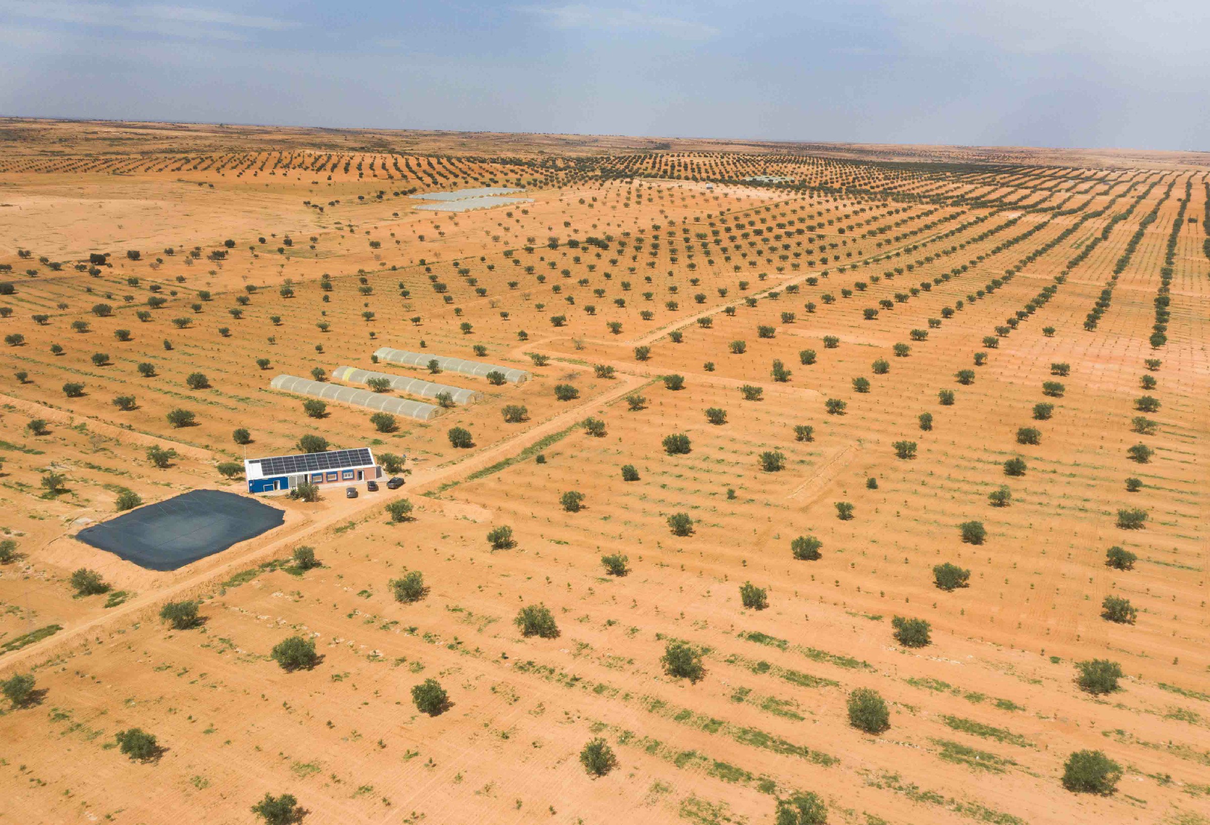 Suivi agronomique aérien